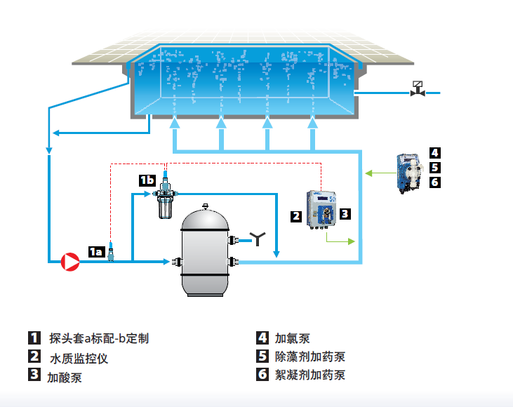 小型泳池.png